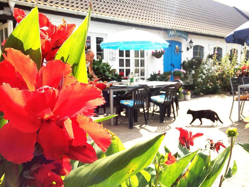 Myrehoj Bed & Breakfast Eskebjerg Екстериор снимка